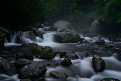 Scenic view of waterfall in forest
