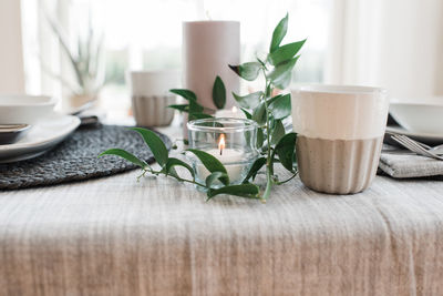 Candle and plants on a dinner table for two