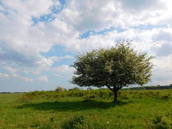 Scenic view of grassy field against cloudy sky