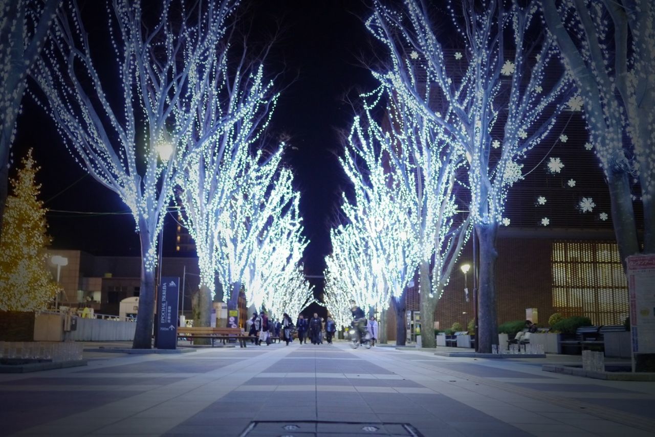 illuminated, night, the way forward, architecture, street, built structure, lighting equipment, road, diminishing perspective, building exterior, tunnel, incidental people, vanishing point, street light, transportation, city, arch, outdoors