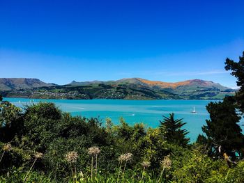 Scenic view of sea against clear blue sky