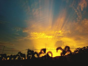 Low angle view of silhouette trees against sky at sunset