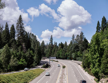 Freeway through the forest peaceful country road through the trees