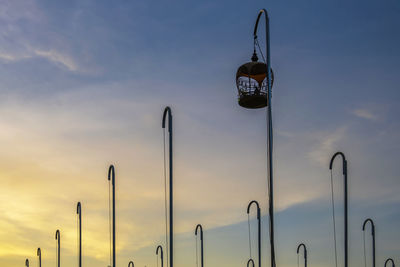 Sunset shot of bird-singing club