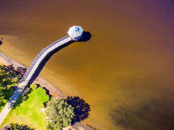 High angle view of tree by water