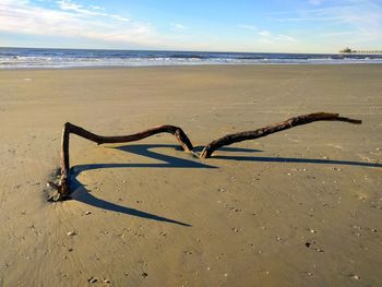 Driftwood on beach against sky