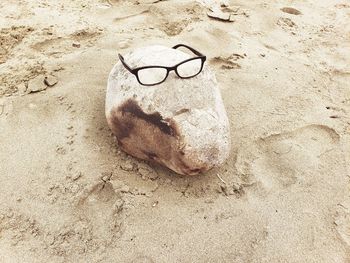 High angle view of lizard on sand