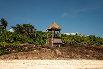 thatched roof