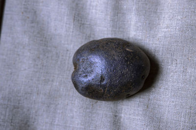 High angle view of coconut