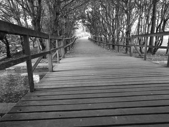 Road passing through forest