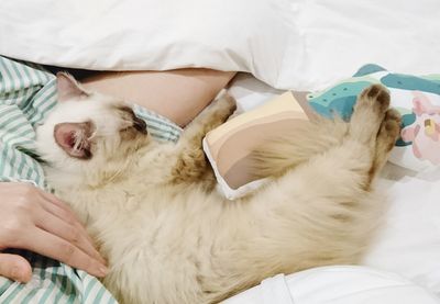 High angle view of cat sleeping with woman on bed