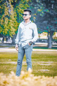 spring