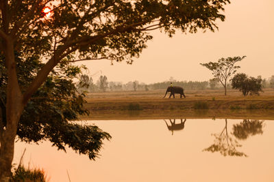 View of a lake