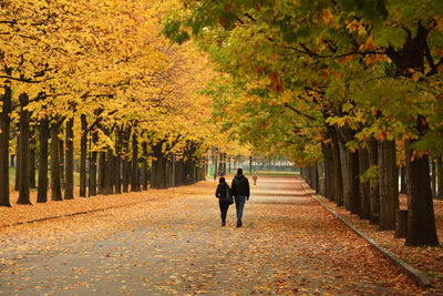 Rear view of man and woman walking on road amidst trees during autumn