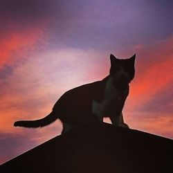 Low angle view of sky at sunset