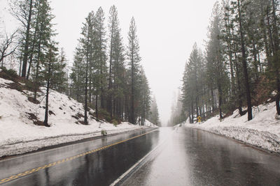 Road amidst trees against clear sky during winter