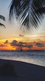 Silhouette palm trees on beach against sky during sunset