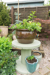 Potted plants