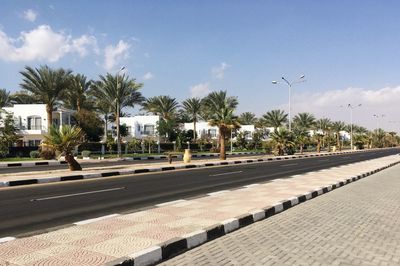 Road by palm trees against sky