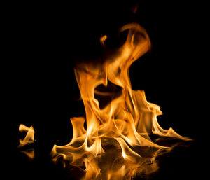 Close-up of bonfire at night