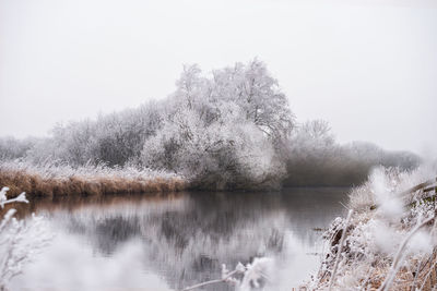 Scenic view of lake against clear sky during winter