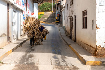 Rear view of woman walking on street