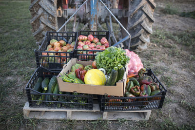 Fruits and vegetables in box