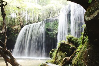 Scenic view of waterfall in forest