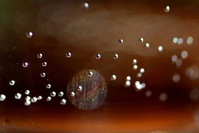 Full frame shot of wet bubbles in rain