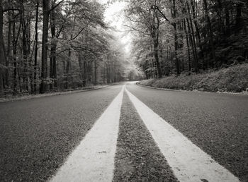 Surface level of road amidst trees in forest