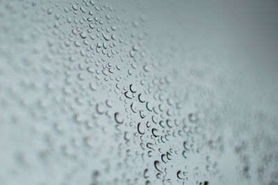 Close-up of water drops on glass window