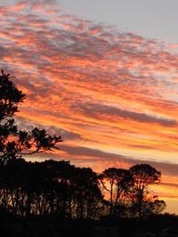 Silhouette trees on landscape against romantic sky at sunset