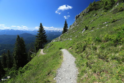 Trail amidst plants and trees against sky