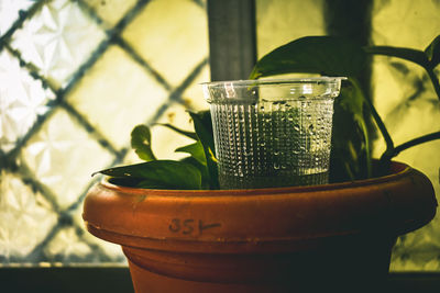 Close-up of drink on table