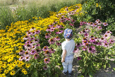 Rear view of girl with flowers