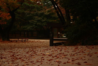 Empty bench in park during autumn