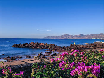 Scenic view of sea against clear blue sky