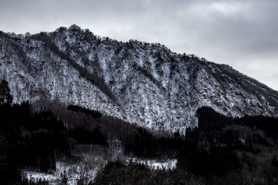 Low angle view of trees on mountain against sky