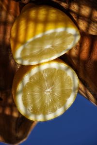 High angle view of lemon