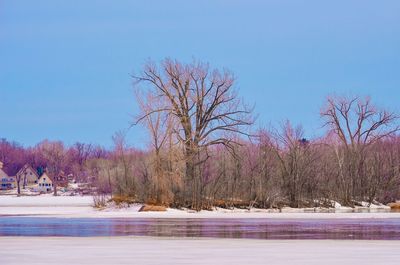 Scenic view of snow covered landscape and trees against clear sky