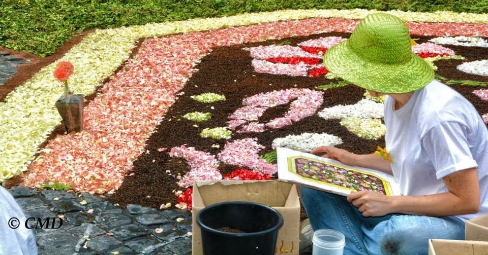 lifestyles, text, freshness, holding, communication, men, leisure activity, high angle view, flower, plant, food and drink, leaf, western script, person, outdoors, day