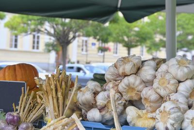 Bundles of garlic, squash and other fruit and vegetable for sale at local farmers market. 