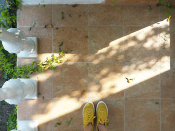 Low section of person by flowering plants