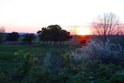 Scenic view of landscape against sky during sunset