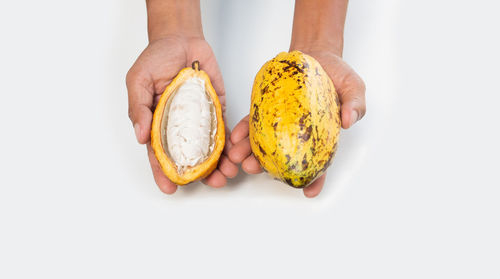 Directly above shot of hand holding fruit against white background