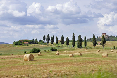 Hay bales on field against sky