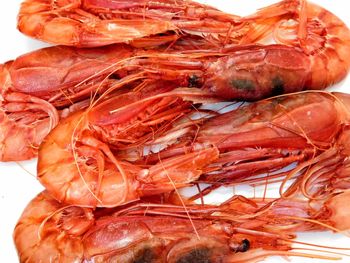Close-up of prawns in plate