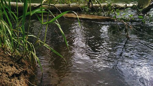 Scenic view of river
