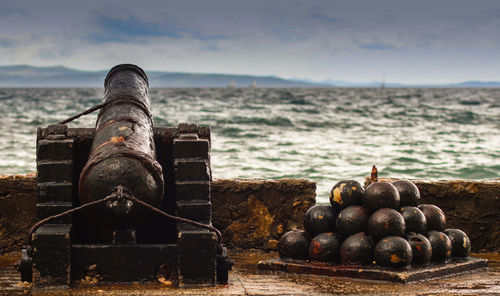View of tree against sky