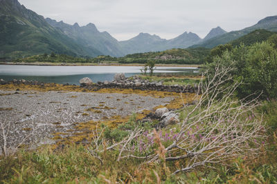 Scenic view of lake by mountains against sky